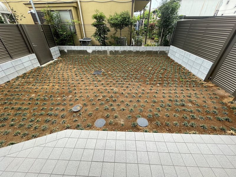 庭