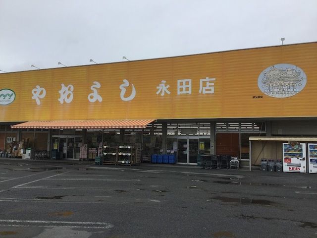 スーパー　ヤオヨシ 永田店（スーパー）まで500m