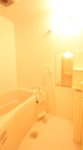 バス・シャワールーム　同物件、別のお部屋の写真です。