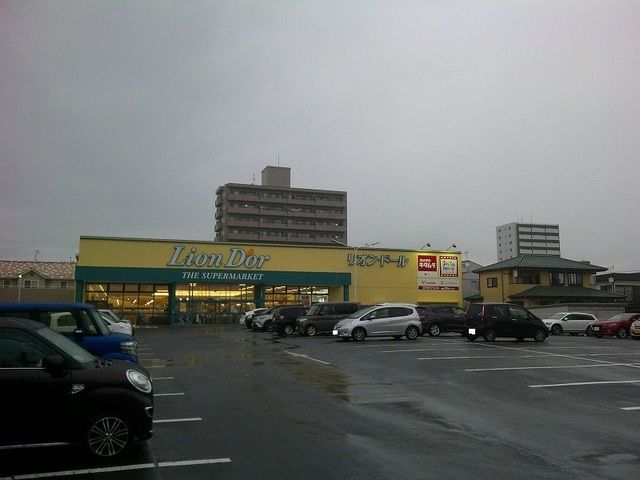 スーパー　リオン・ドール野田店（スーパー）まで100m