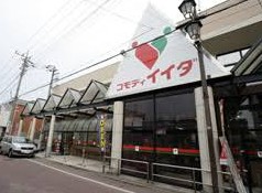 スーパー　コモディイイダ舎人店（スーパー）まで313m