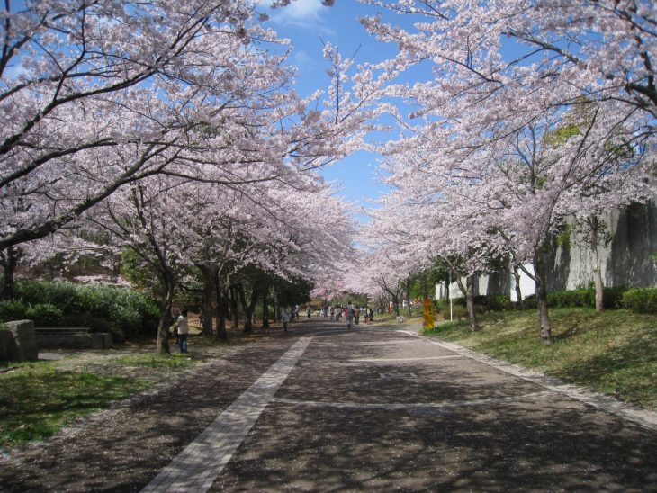 公園　おゆみ野はるのみち公園（公園）まで1279m