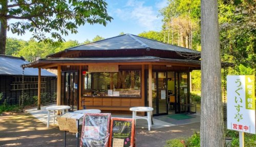飲食店　うぐいす亭（飲食店）まで482m