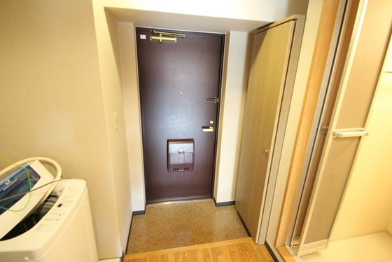 玄関　※別部屋の写真です