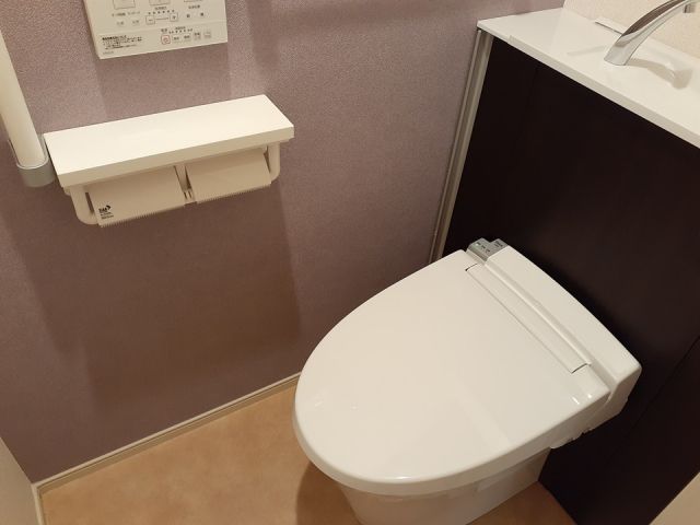 グラン トレゾールIIのトイレ写真