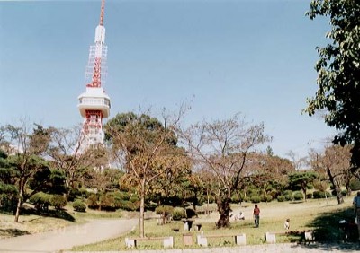 【宇都宮市戸祭町のアパートの公園】