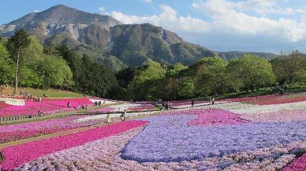 【秩父市日野田町のアパートのショッピングセンター】