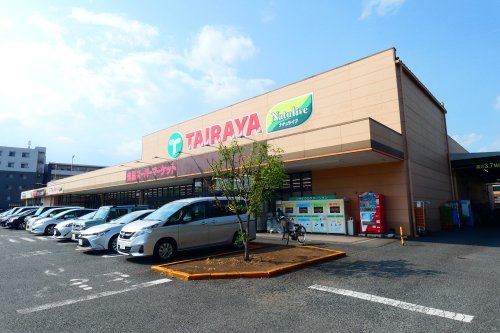 スーパー　エコス TAIRAYA（スーパー）まで978m