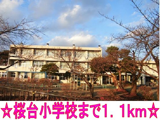 小学校　桜台小学校（小学校）まで1100m