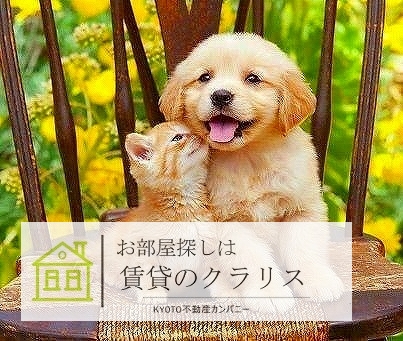 その他　ペット相談可！