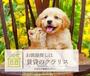 その他　ペット相談可！
