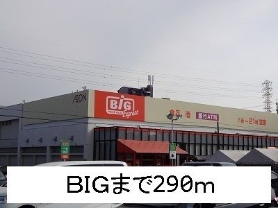 スーパー　ビッグ（スーパー）まで290m