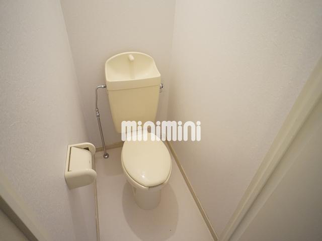 トイレ　トイレです