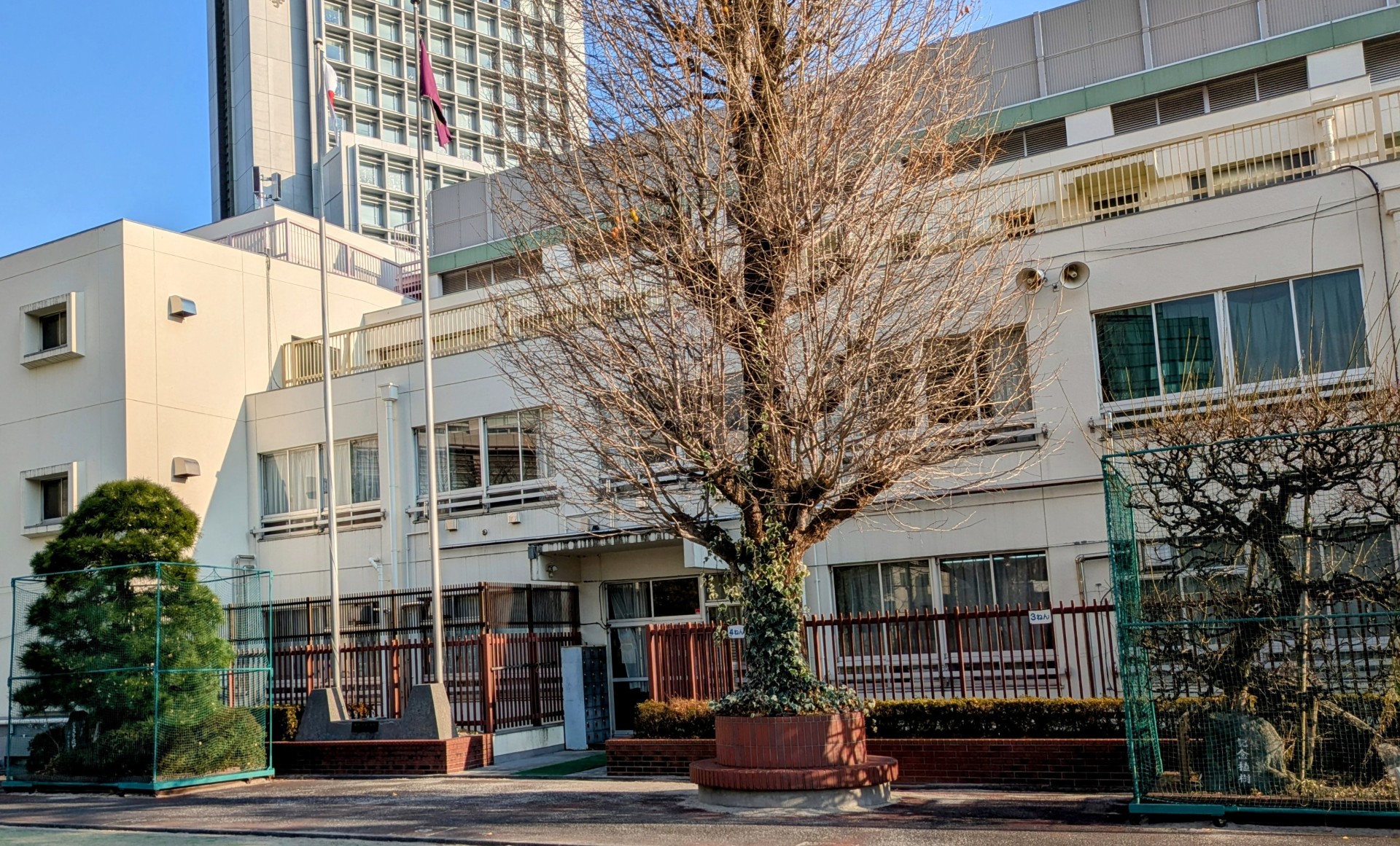 小学校　渋谷区立常磐松小学校（小学校）まで638m
