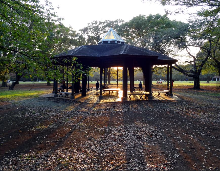 公園　代々木公園 中央広場（公園）まで1515m
