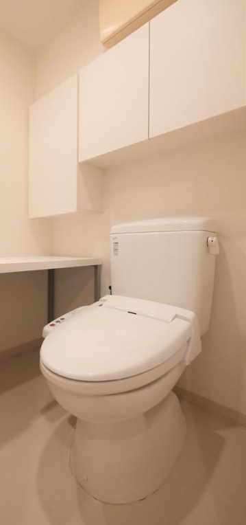 ル・リオン豊洲ウォーターフロントのトイレ写真