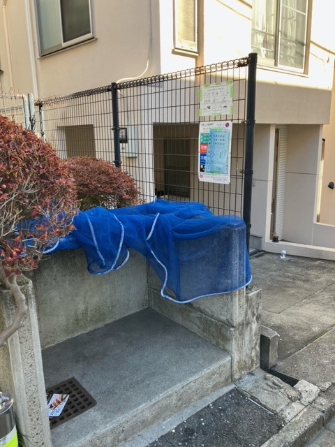 ピンテール3のその他写真