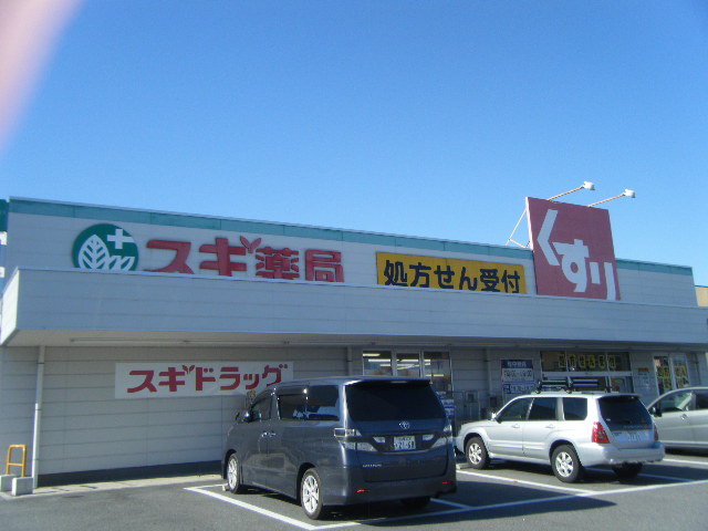 ドラックストア　スギ薬局 清城店（ドラッグストア）まで1204m