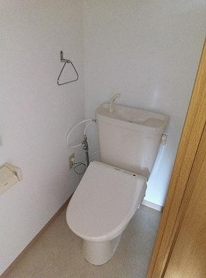 メゾン南昭和Aのトイレ写真