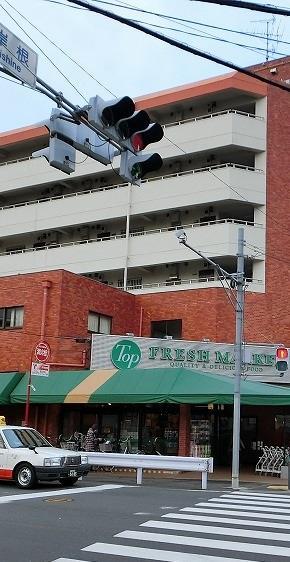 スーパー　トップフレッシュマーケット岸根店（スーパー）まで518m