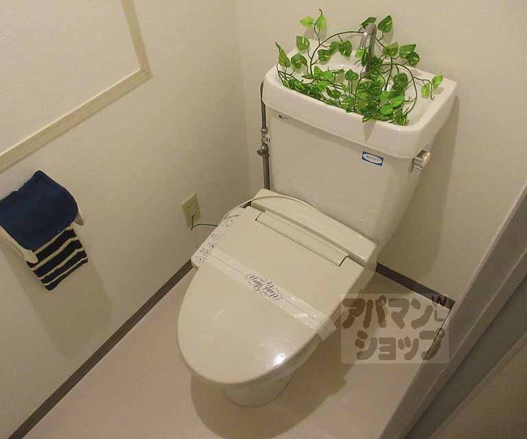 トイレ　きれいなおトイレです