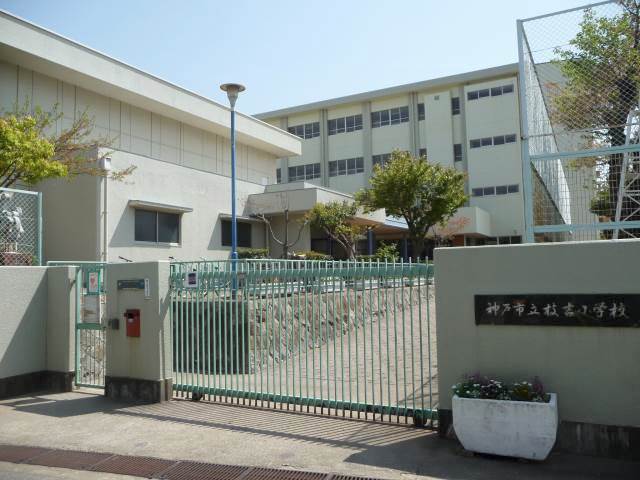 小学校　神戸市立枝吉小学校（小学校）まで709m