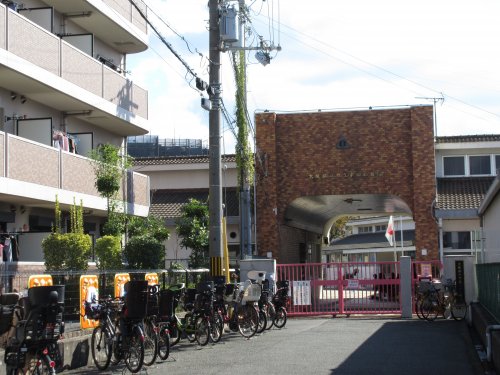 【タウニィハイツ金剛の幼稚園・保育園】