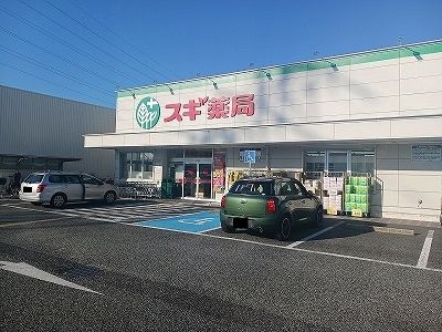 ドラックストア　スギ薬局尼崎南七松店（ドラッグストア）まで300m