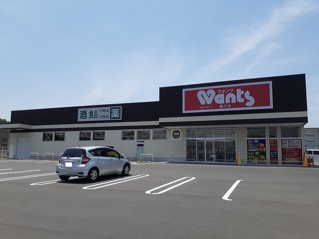 ドラックストア　ウォンツ（ドラッグストア）まで300m