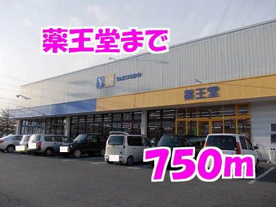 ドラックストア　薬王堂（ドラッグストア）まで750m