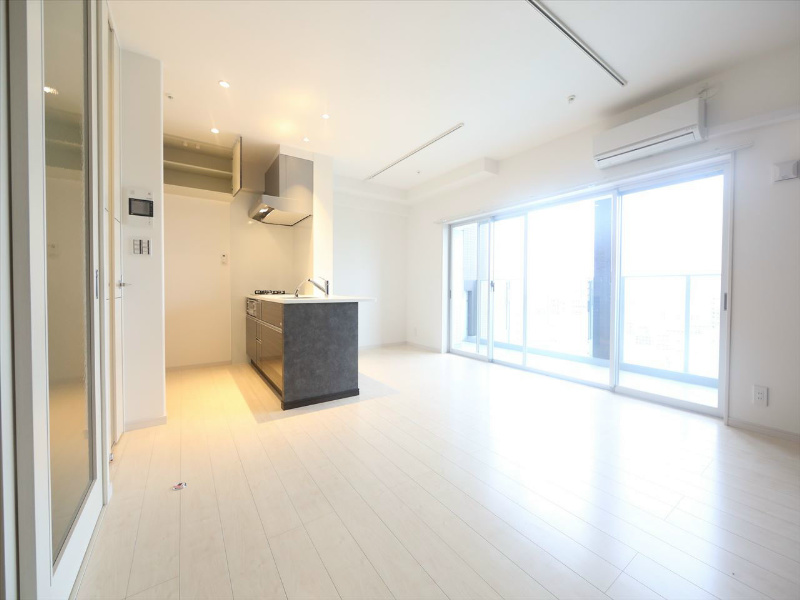 その他部屋・スペース　ＬＤＫ14.1帖　エアコン完備　南面バルコニー