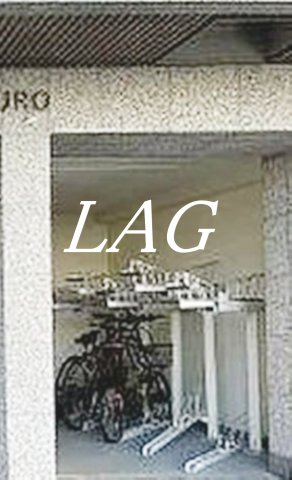 その他共有部分　駐車場です。