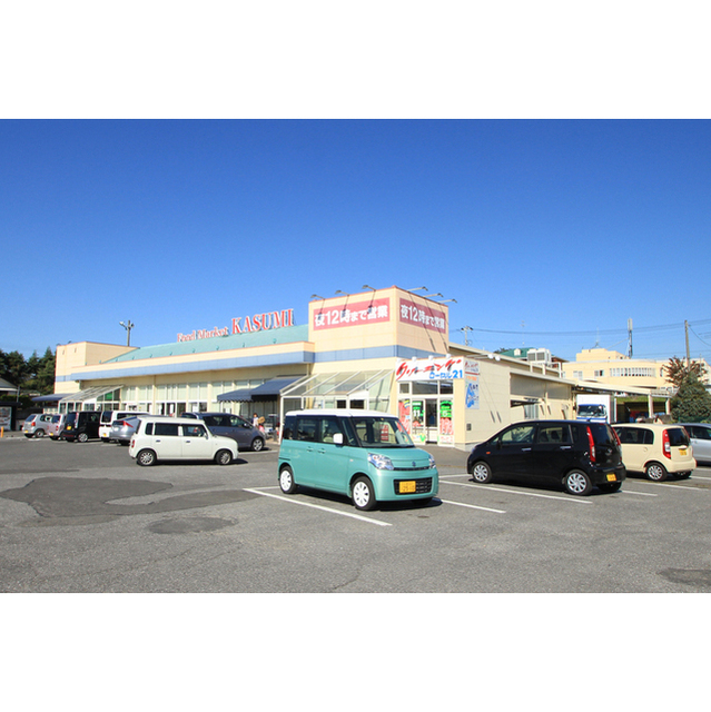 スーパー　カスミ高津店（スーパー）まで1087m