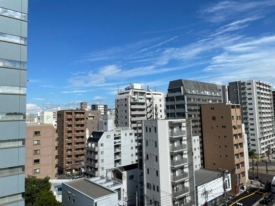 眺望　※別部屋の写真です