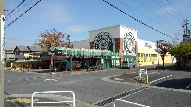 スーパー　マルヤス 西条店（スーパー）まで244m