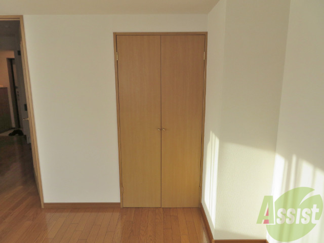 収納　クローゼットはこちらです。沢山入りそうです