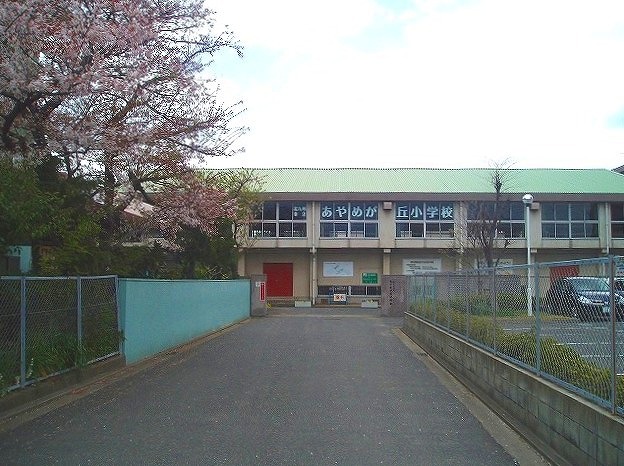 小学校　北九州市立あやめが丘小学校（小学校）まで704m