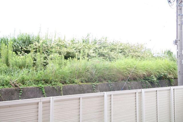 眺望　※別室の参考写真の為、現況優先です。