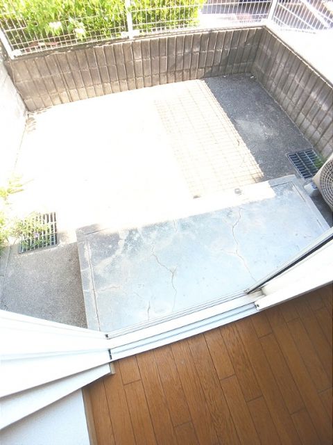 庭