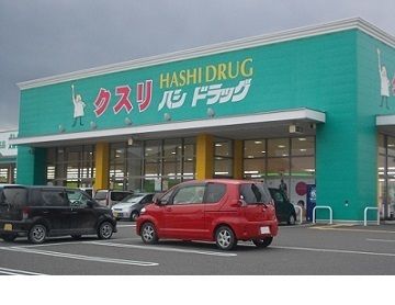 ドラックストア　ハシドラッグ南福島店（ドラッグストア）まで550m
