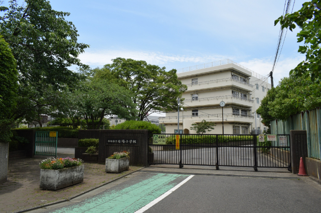 小学校　船橋市立市場小学校（小学校）まで451m