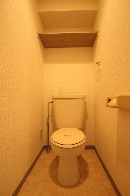トイレ　同物件別号室のものです。