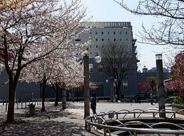 公園　染井吉野桜記念公園（公園）まで673m