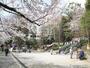 公園　江戸川公園（公園）まで50m
