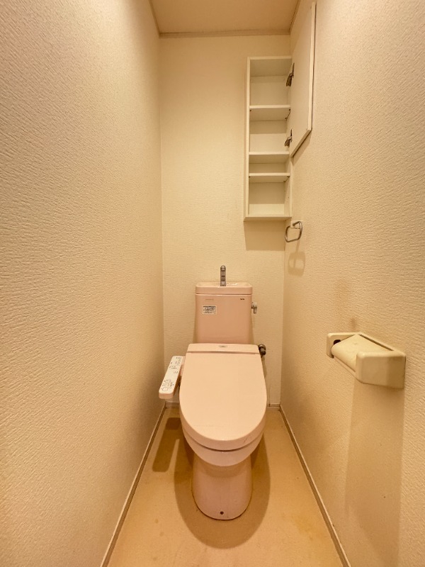 南海本線 湊駅 徒歩14分 3階建 築9年のトイレ写真