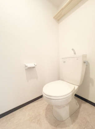 ＪＲ鹿児島本線 西熊本駅 徒歩42分 2階建 築13年のトイレ写真