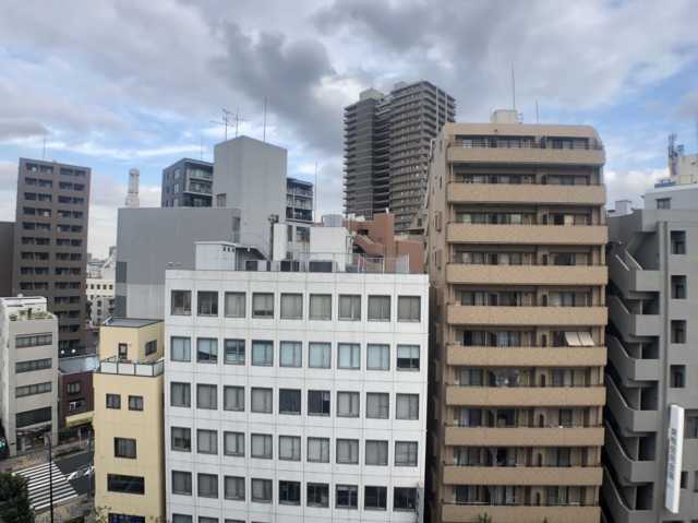 眺望　ミリオン大塚アヴィニティー　反転タイプの室内写真