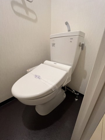 地下鉄七隈線 桜坂駅 徒歩3分 10階建 築15年のトイレ写真