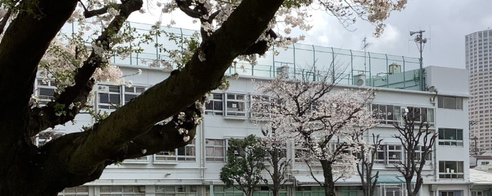 小学校　目黒区立烏森小学校（小学校）まで234m