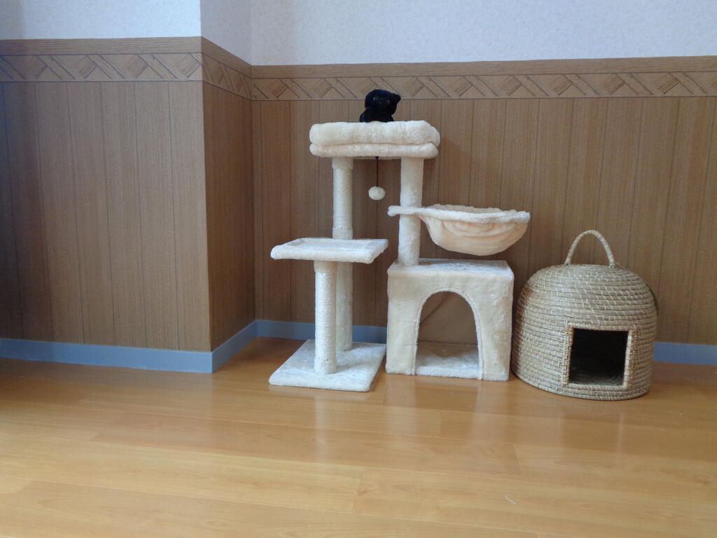 その他設備　猫ちゃんタワー・ハウス
